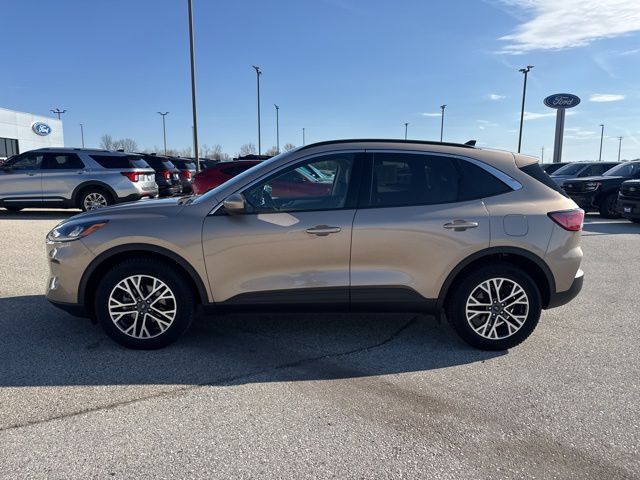 2020 Ford Escape SEL Random Lake WI