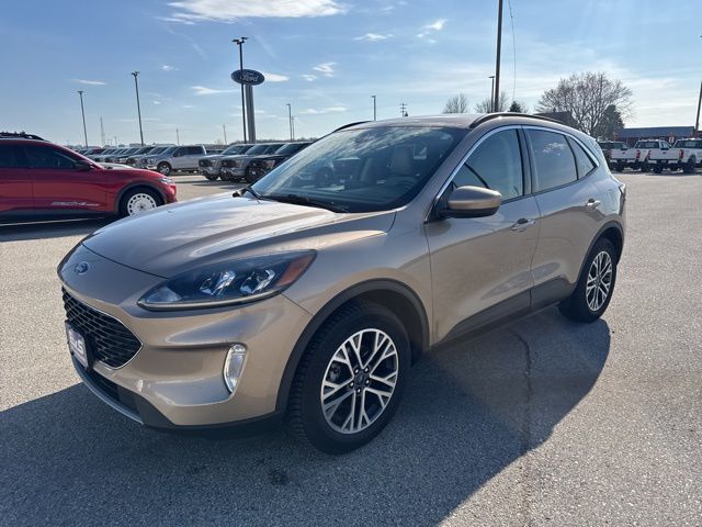 2020 Ford Escape SEL Random Lake WI