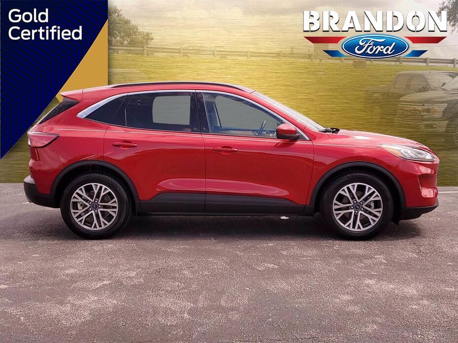 2020 Ford Escape 2020 Ford Escape