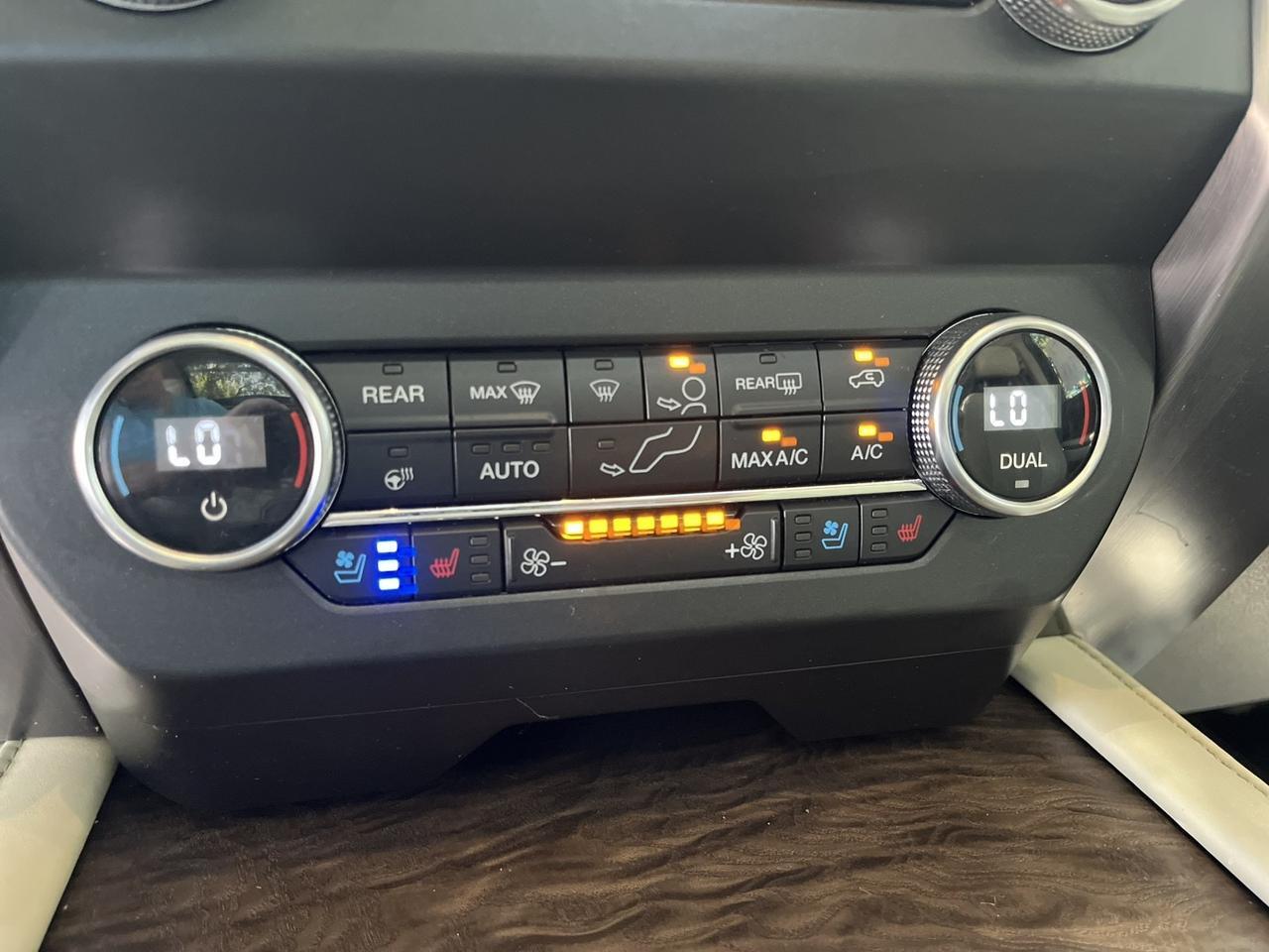 2020 Ford Expedition Platinum Spring Branch TX