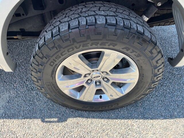 2020 Ford F-150 Platinum 4WD SuperCrew FX4 Ashland VA
