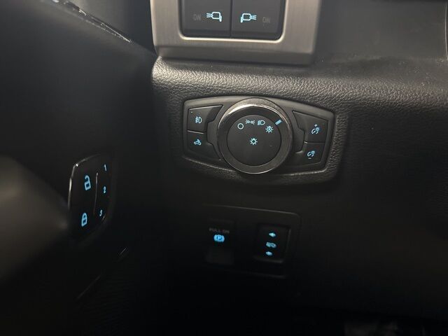 2020 Ford F-150 Platinum Dallas TX