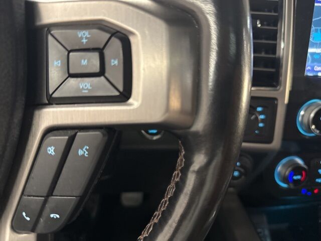 2020 Ford F-150 Platinum Dallas TX