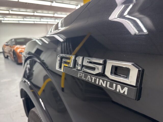 2020 Ford F-150 Platinum Dallas TX