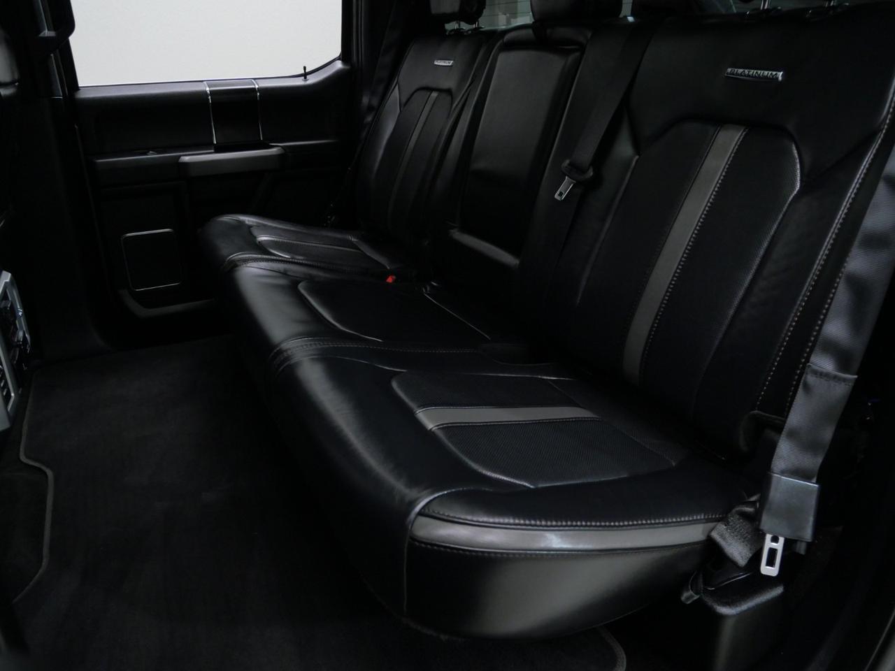 2020 Ford F-150 Platinum FX4 3.5L EcoBoost 4x4 Mansfield TX