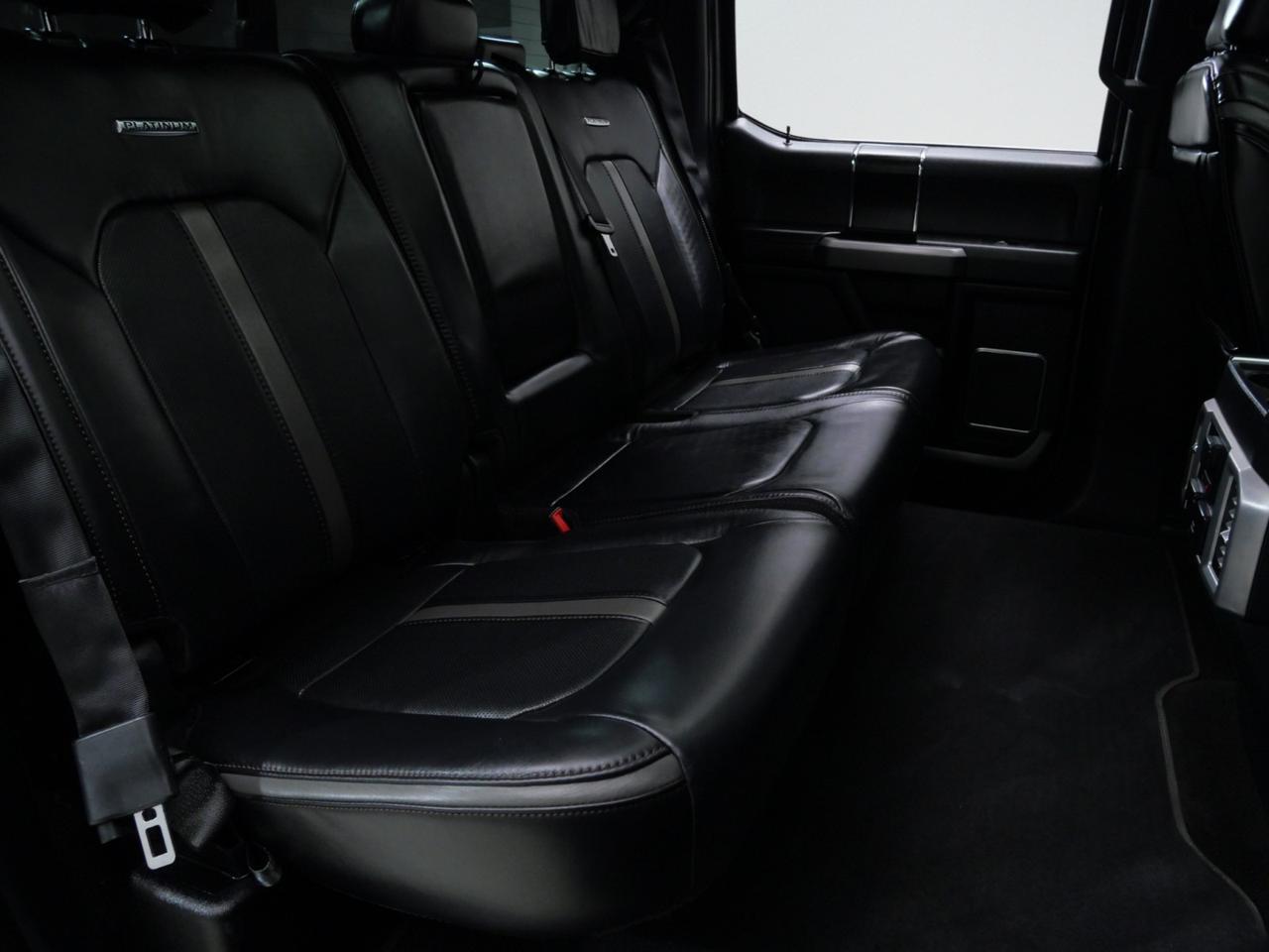 2020 Ford F-150 Platinum FX4 3.5L EcoBoost 4x4 Mansfield TX