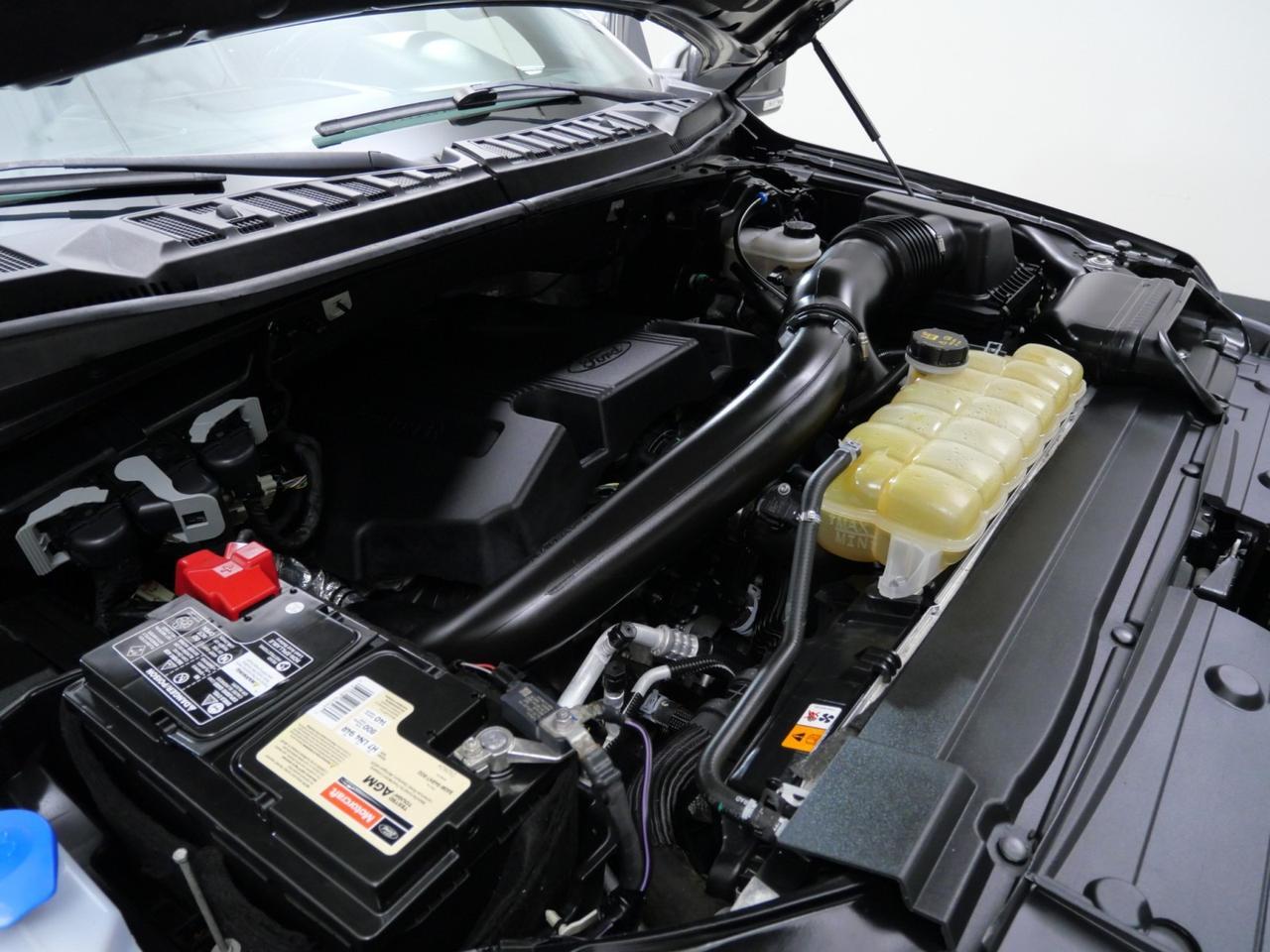 2020 Ford F-150 Platinum FX4 3.5L EcoBoost 4x4 Mansfield TX