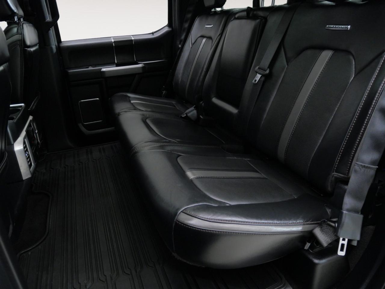 2020 Ford F-150 Platinum FX4 3.5L EcoBoost 4x4 Mansfield TX