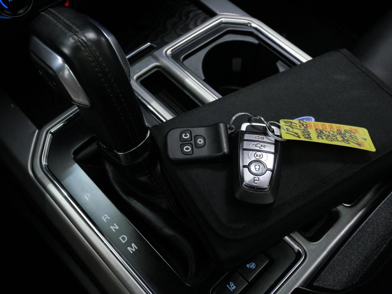 2020 Ford F-150 Platinum FX4 3.5L EcoBoost 4x4 Mansfield TX