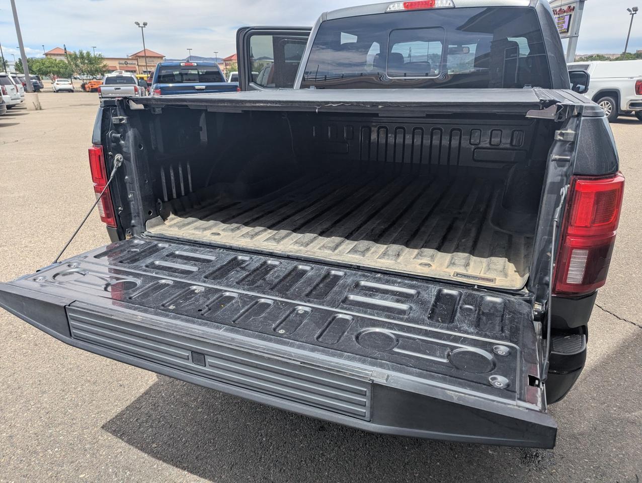 2020 Ford F-150 Platinum Grand Junction CO