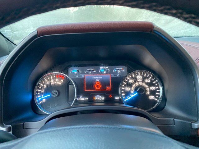 2020 Ford F-150 Platinum Raleigh NC