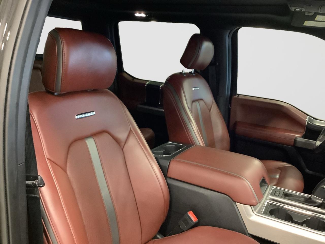 2020 Ford F-150 Platinum New Braunfels TX
