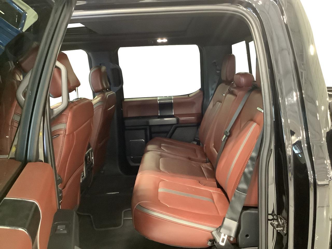 2020 Ford F-150 Platinum New Braunfels TX
