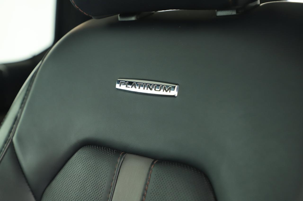 2020 Ford F-150 Platinum New Braunfels TX