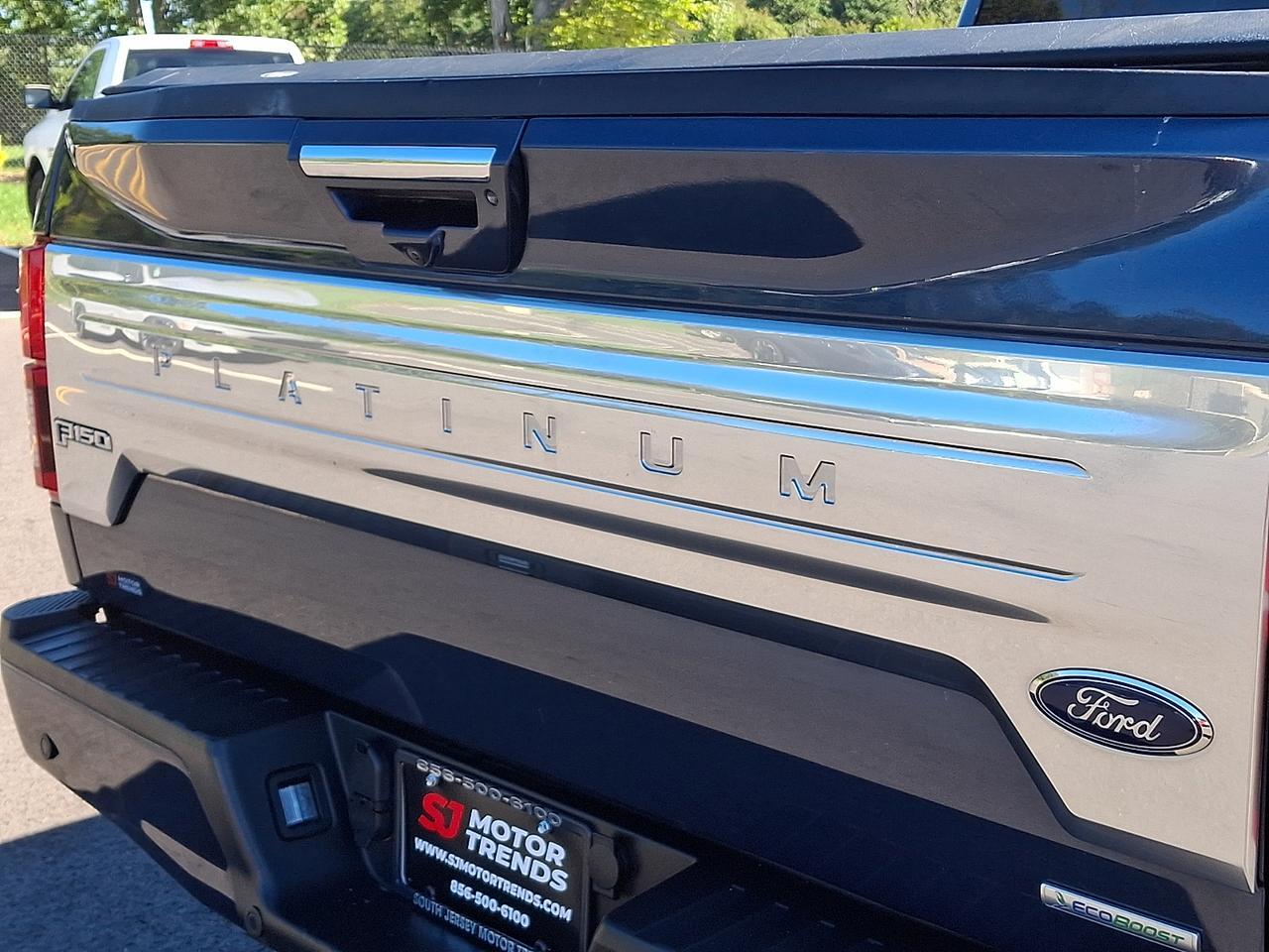 2020 Ford F-150 Platinum Vineland NJ