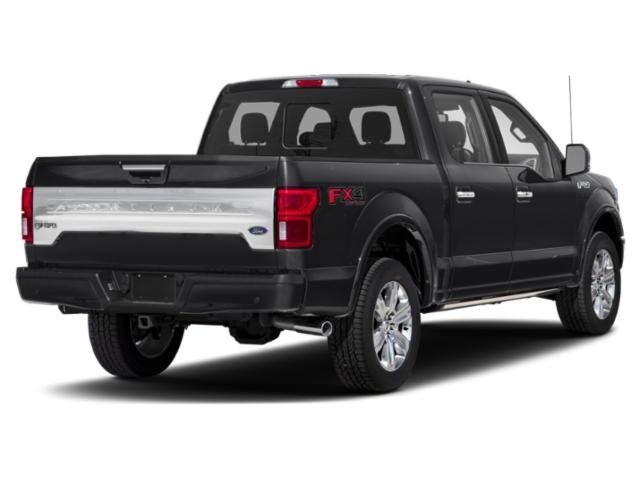 2020 Ford F-150 Platinum Winder GA