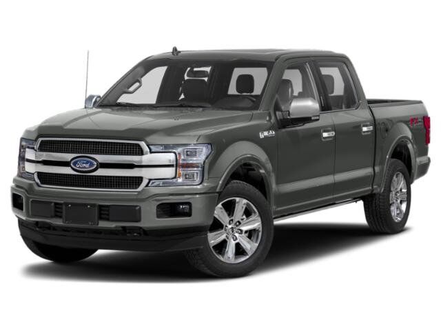 2020 Ford F-150 Platinum Winder GA