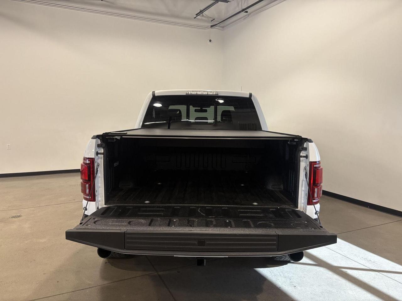 2020 Ford F-150 Raptor Parker CO