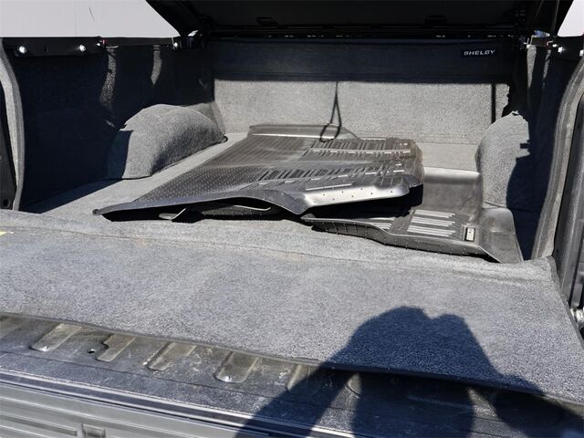 2020 Ford F-150 Shelby supercharged 770HP Oshkosh WI 2020 Ford F-150 Shelby supercharged 770HP Oshkosh WI