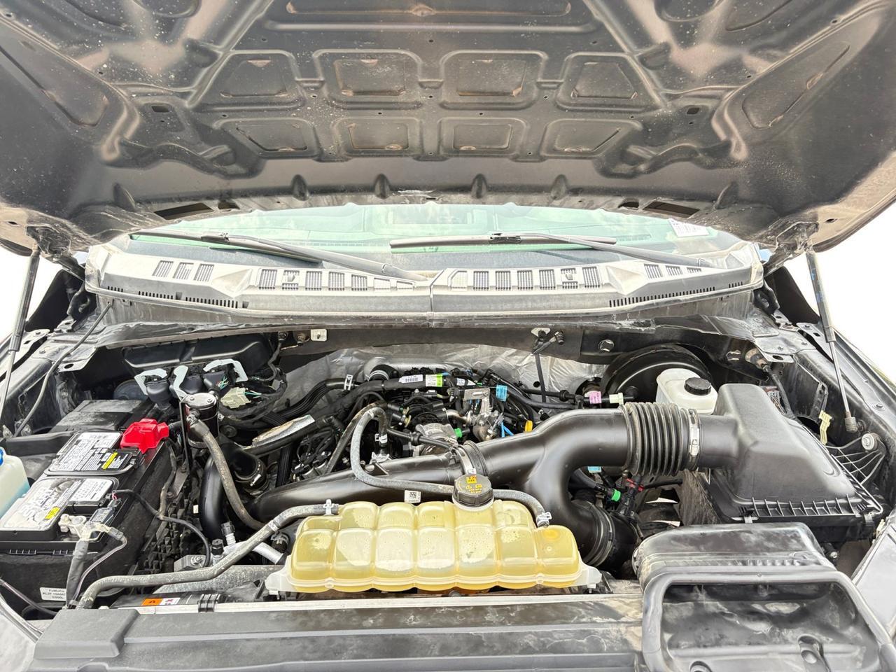 2020 Ford F-150 XL New Braunfels TX