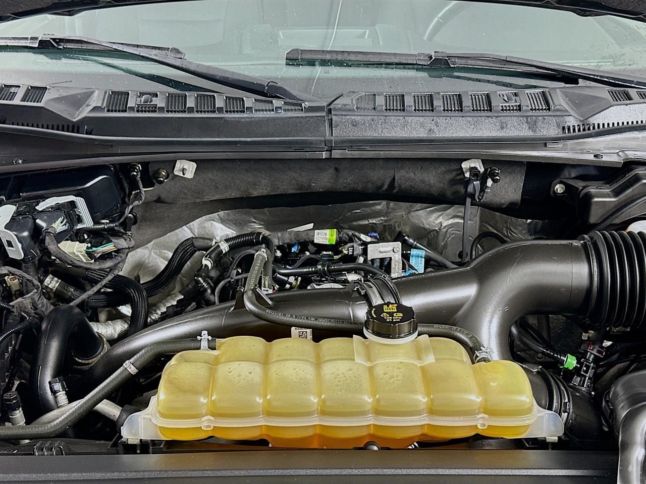 2020 Ford F-150 XLT Tacoma WA