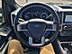 2020 Ford F-250SD 4x4 Crew Cab Platinum Fond du Lac WI