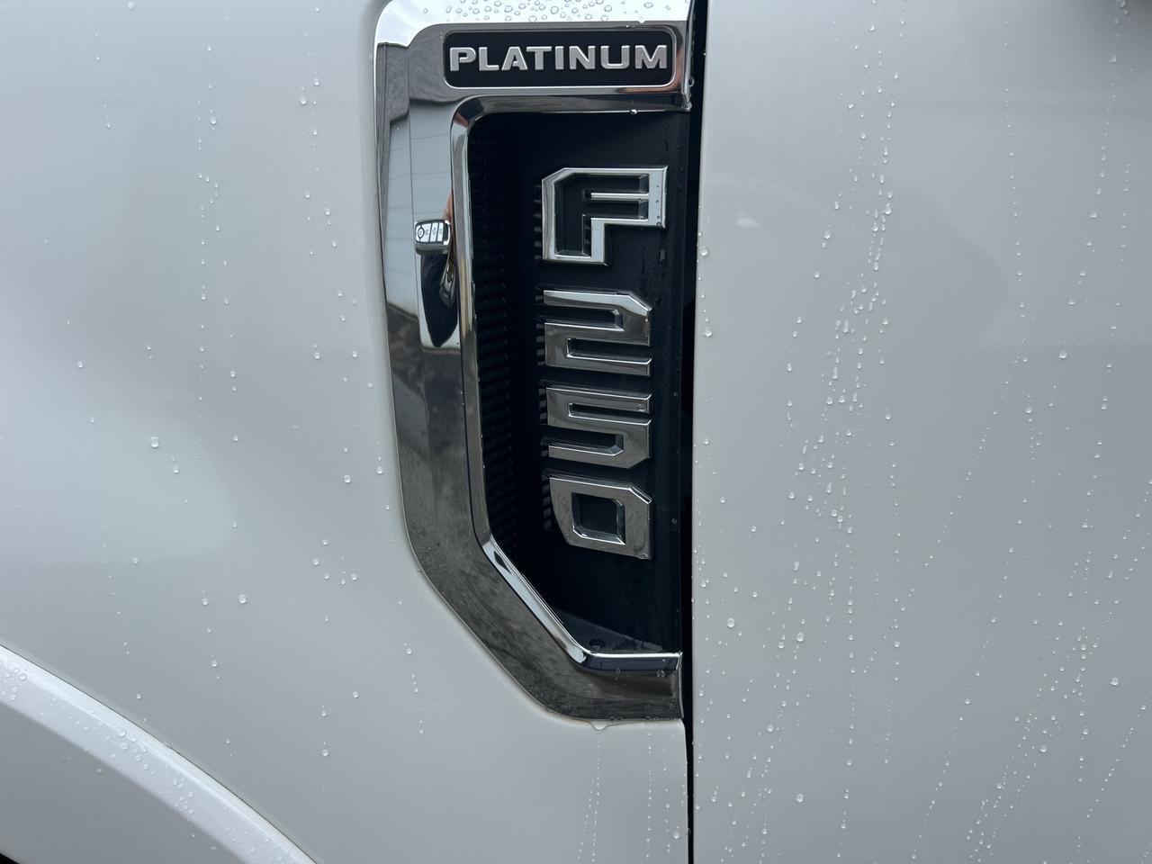 2020 Ford F-250SD Platinum Ashland VA