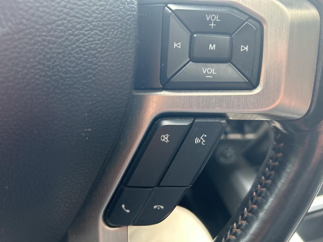 2020 Ford F-250SD Platinum Ashland VA