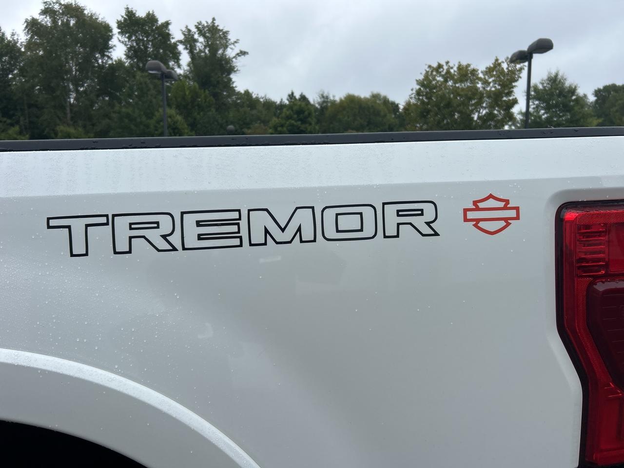 2020 Ford F-250SD Platinum Ashland VA