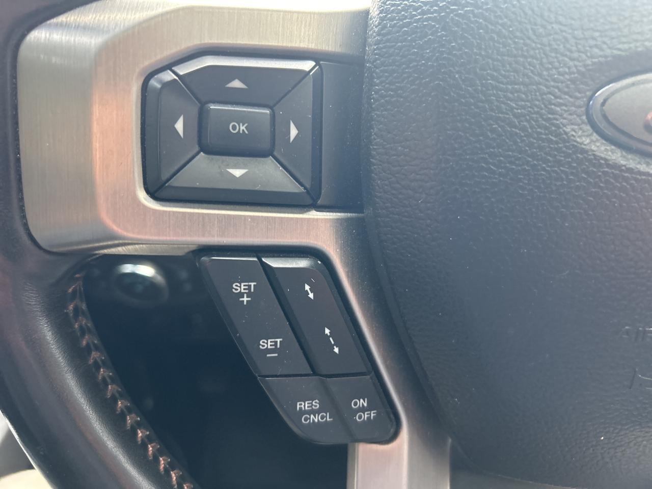 2020 Ford F-250SD Platinum Ashland VA