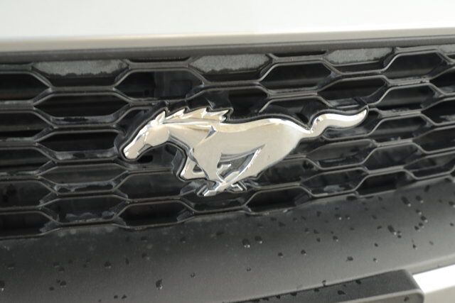 2020 Ford Mustang New Braunfels TX