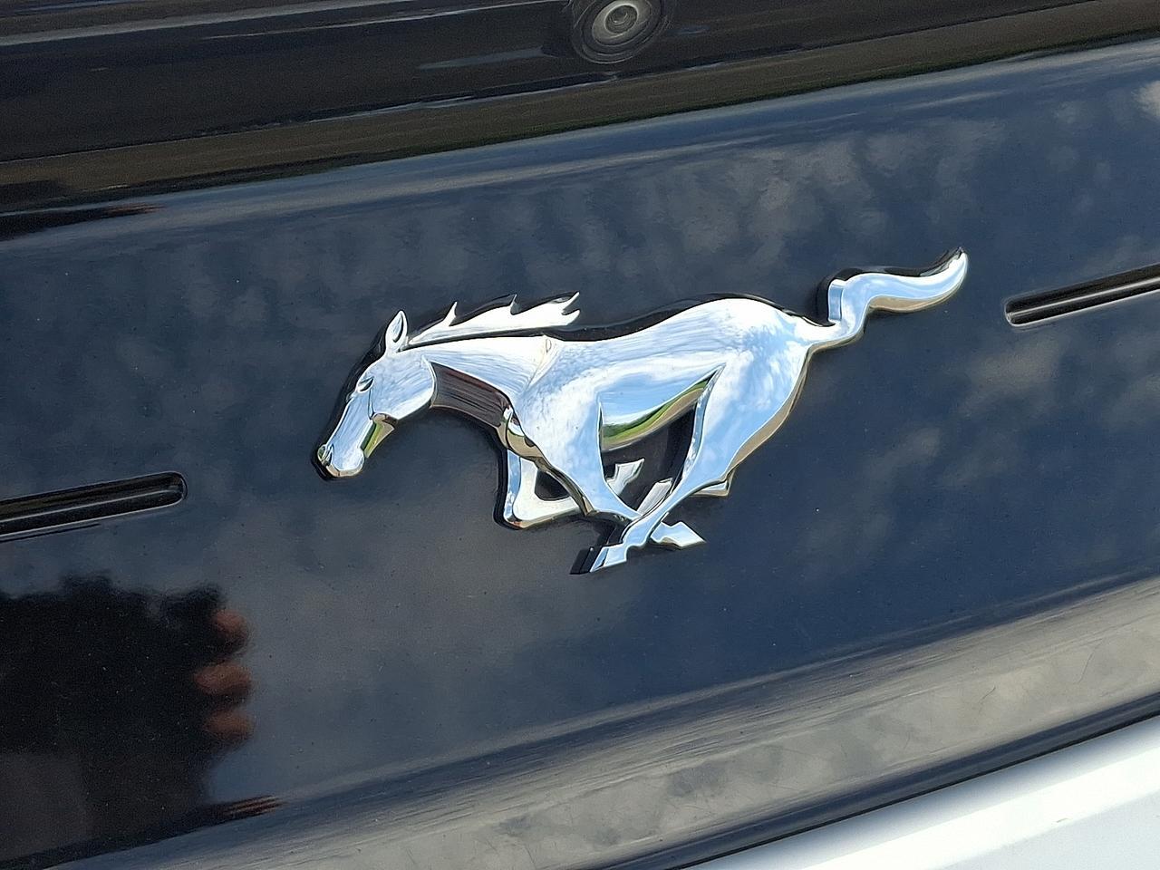 2020 Ford Mustang EcoBoost Fastback Vineland NJ