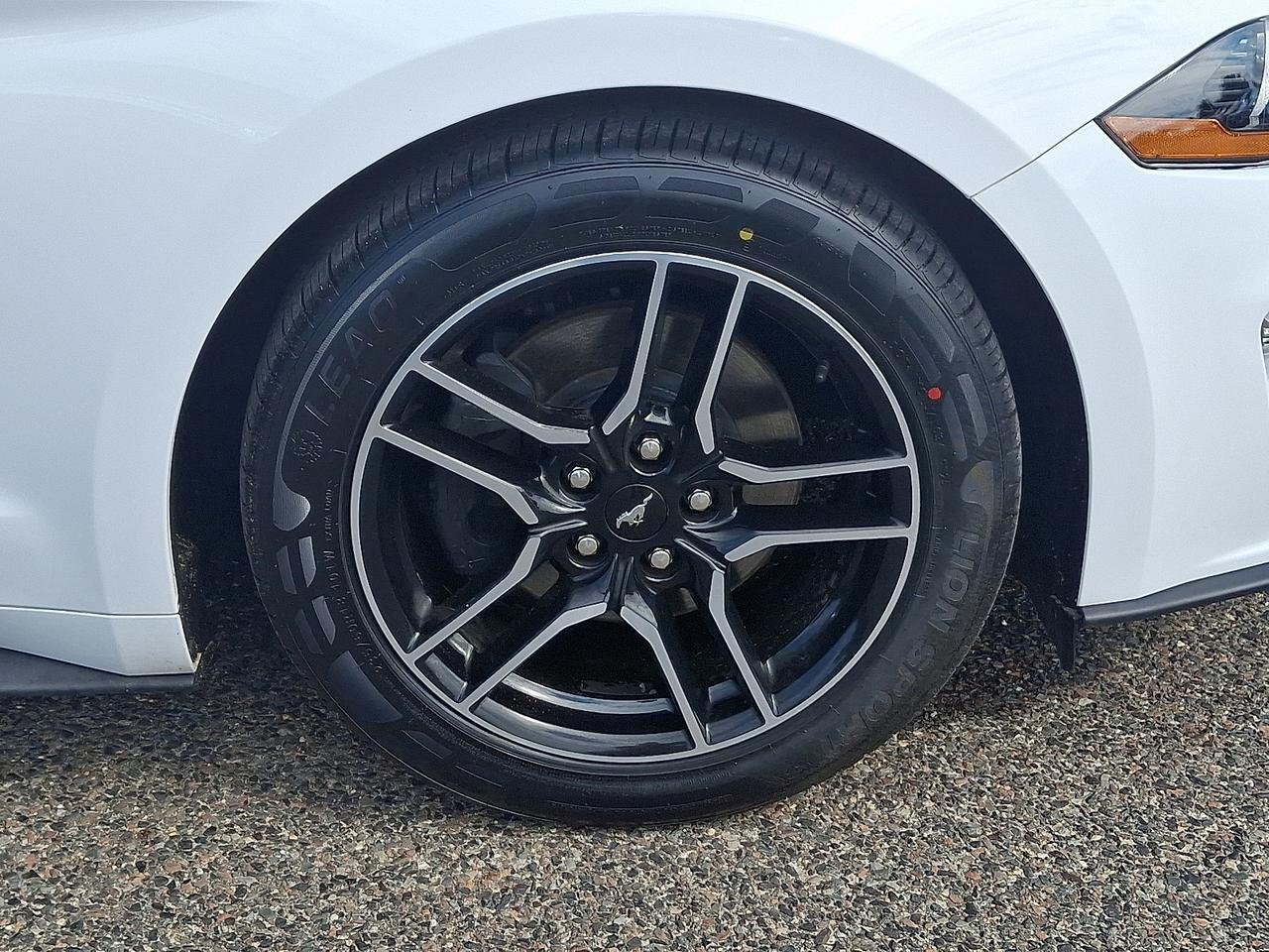2020 Ford Mustang EcoBoost Fastback Vineland NJ