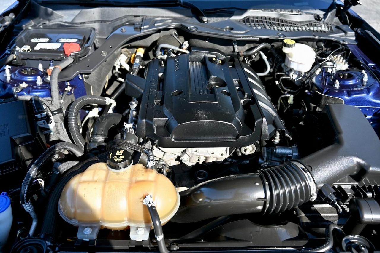 2020 Ford Mustang EcoBoost Lake Worth FL