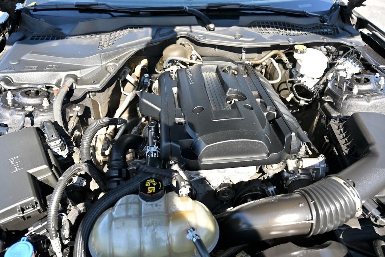 2020 Ford Mustang EcoBoost Lake Worth FL