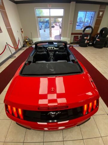 2020 Ford Mustang EcoBoost Premium Convertible Charlotte NC