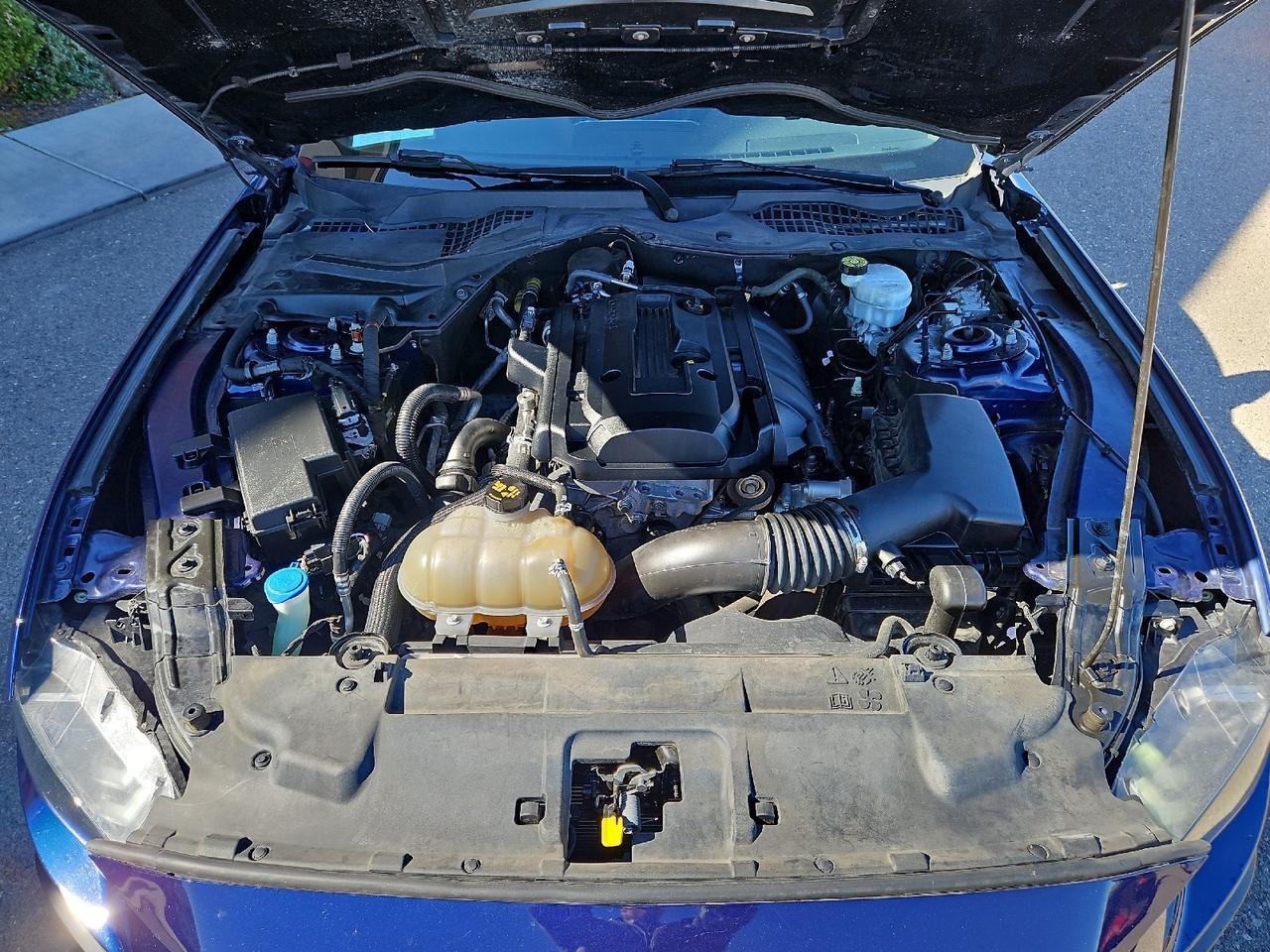 2020 Ford Mustang EcoBoost Premium Grand Junction CO