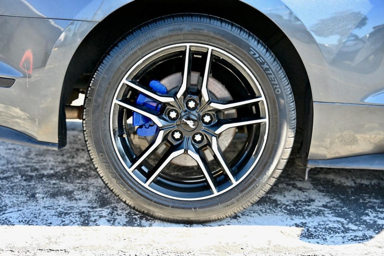 2020 Ford Mustang EcoBoost Premium Lake Worth FL