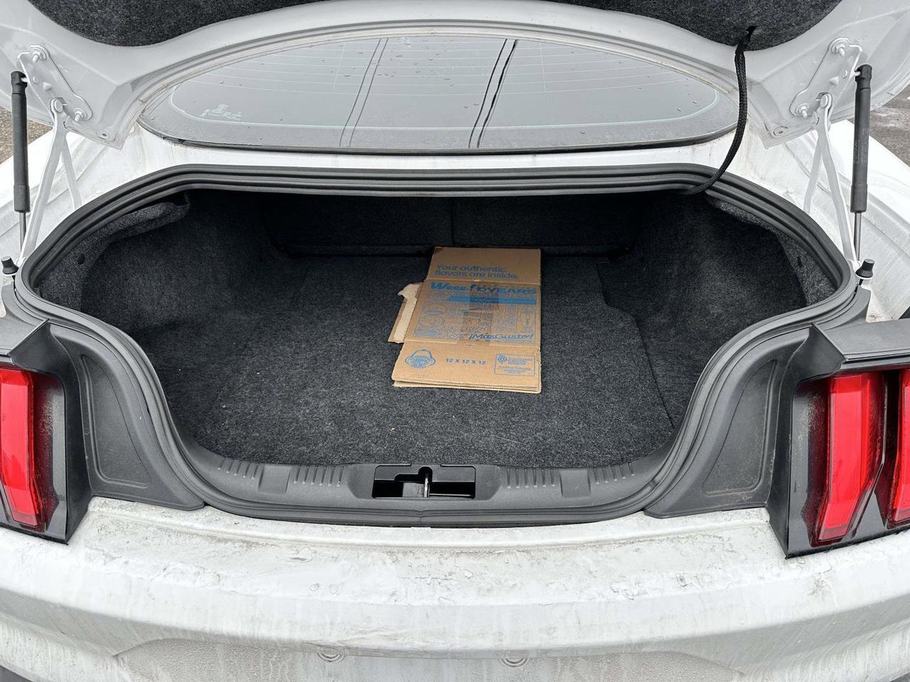 2020 Ford Mustang EcoBoost Premium San Clemente CA