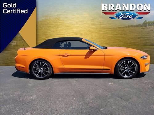 2020 Ford Mustang EcoBoost Premium Tampa FL 2020 Ford Mustang EcoBoost Premium Tampa FL