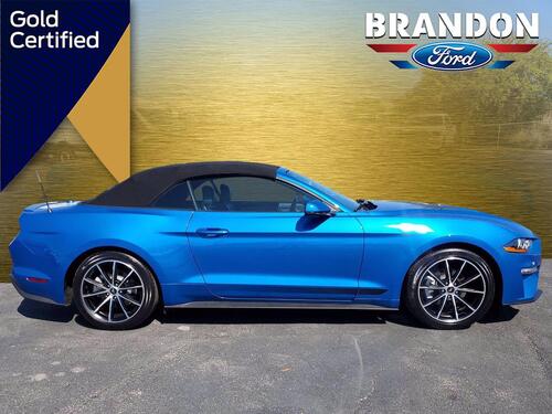 2020 Ford Mustang EcoBoost Premium Tampa FL 2020 Ford Mustang EcoBoost Premium Tampa FL
