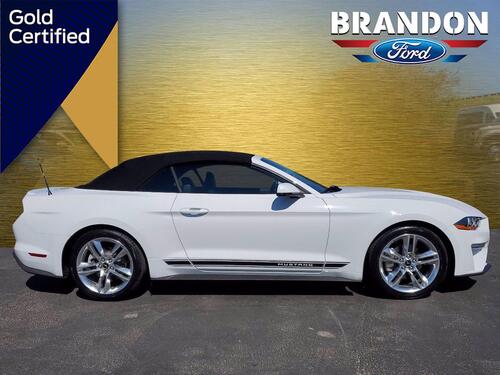 2020 Ford Mustang EcoBoost Premium Tampa FL 2020 Ford Mustang EcoBoost Premium Tampa FL