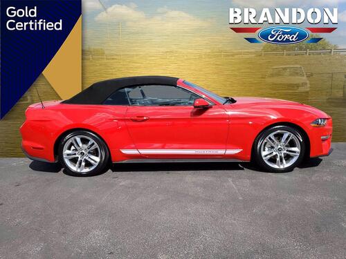 2020 Ford Mustang EcoBoost Premium Tampa FL 2020 Ford Mustang EcoBoost Premium Tampa FL