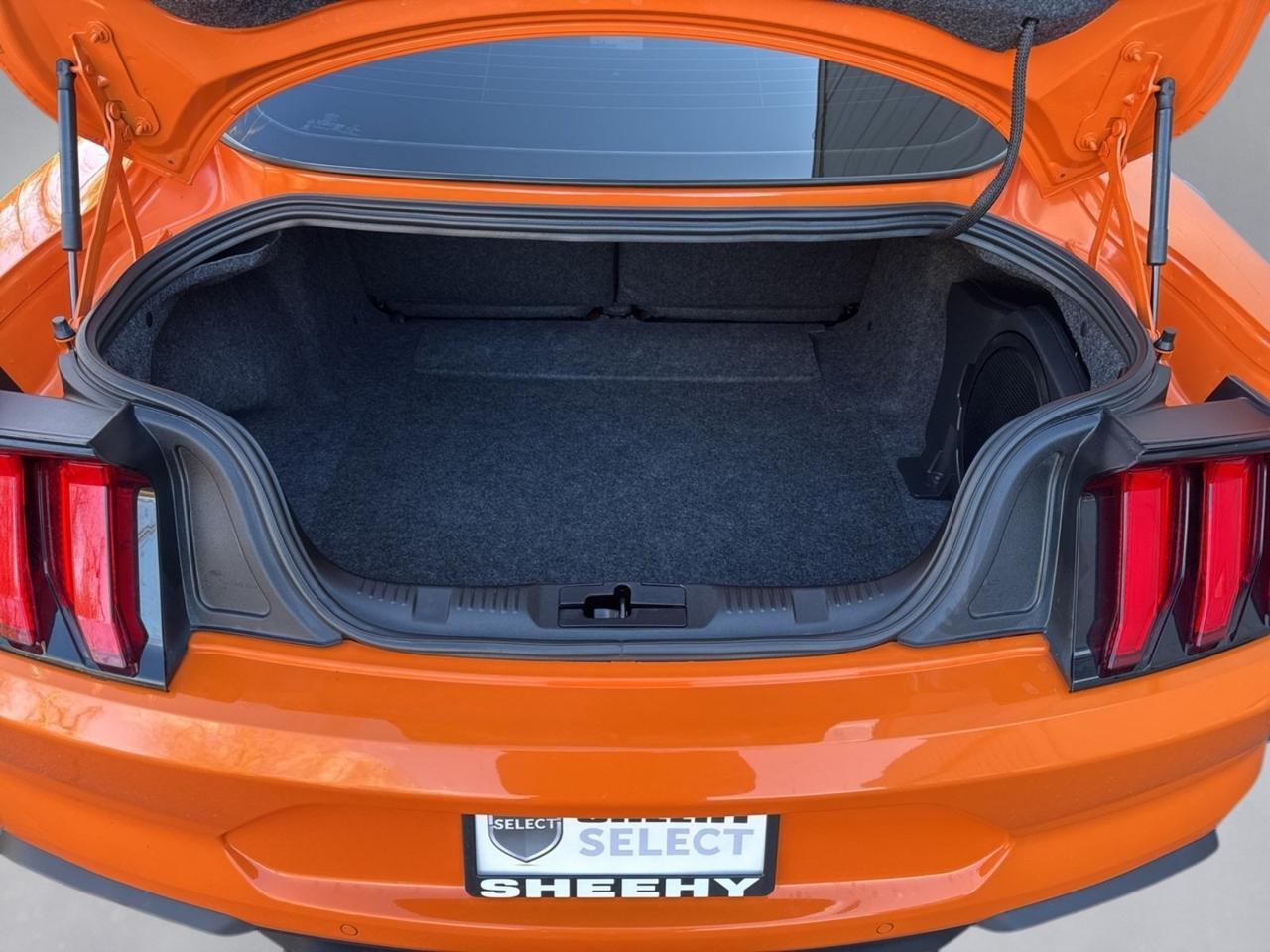 2020 Ford Mustang EcoBoost Premium Warrenton VA