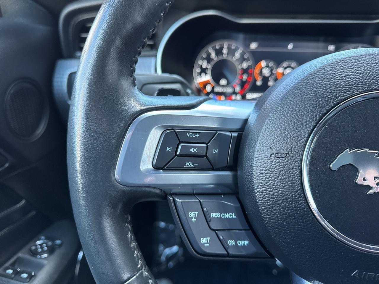 2020 Ford Mustang EcoBoost Premium Warrenton VA