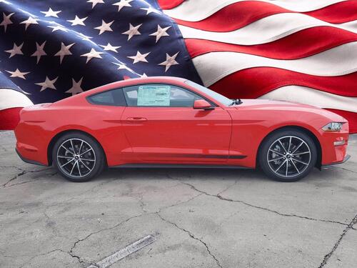 2020 Ford Mustang EcoBoost Tampa FL 2020 Ford Mustang EcoBoost Tampa FL