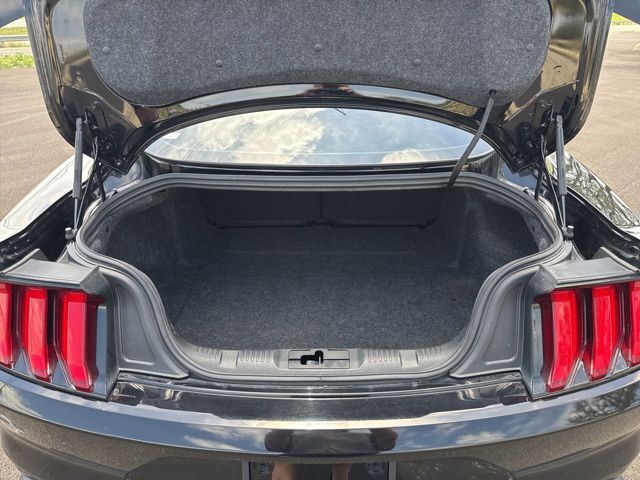 2020 Ford Mustang GT Kerrville TX