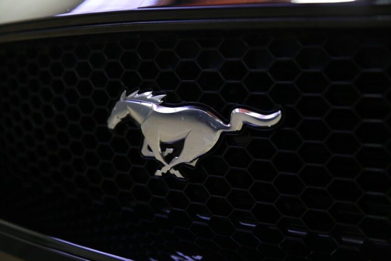 2020 Ford Mustang GT Premium Plainview NY