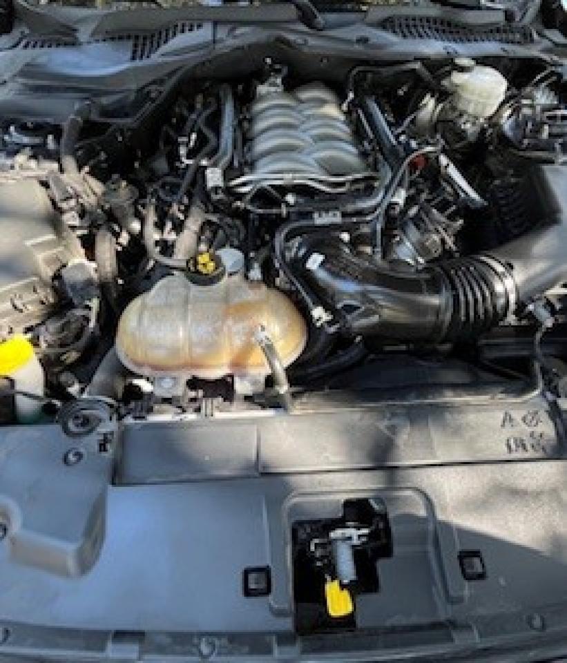 2020 Ford Mustang GT Spring Branch TX