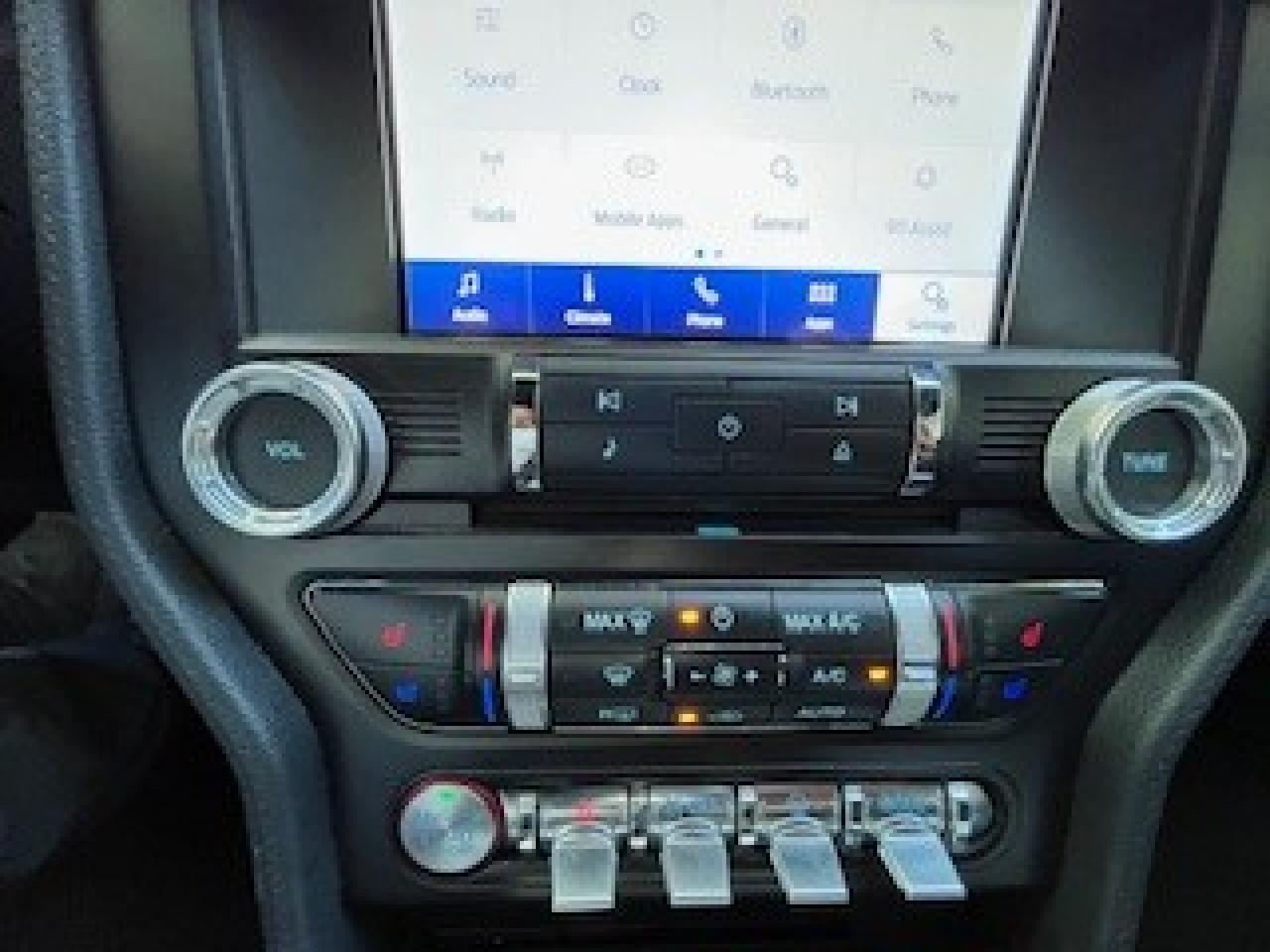 2020 Ford Mustang GT Spring Branch TX